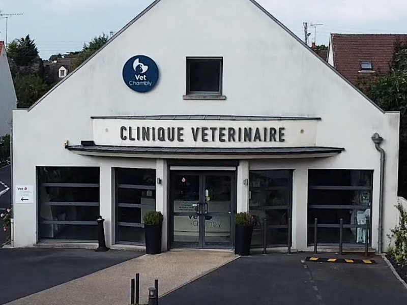 Veterinaire_Vet_Chambly